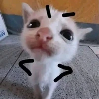 thiếu nữ mê trai