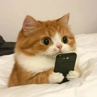 tg xấu tếnh
