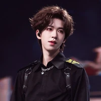 Hạ Tuấn Lâm
