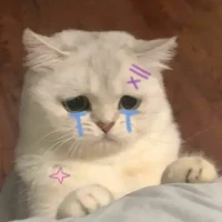 T/g nek~