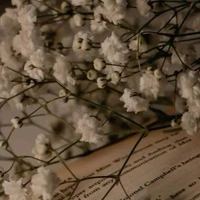 tác giả lười biếng