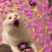 ~Meow.💮🌸💮🌸Xuân.🌸💮🌸💮Meow~