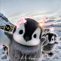 t/g