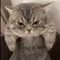 Thích Toánn