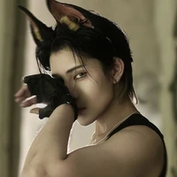 Claures Douglas ( sói) ( Figema)