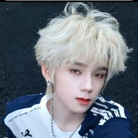 Vương Lỗ Kiệt