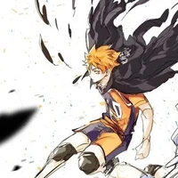 Hinata Shoyo ( Nv Trog Truyện )