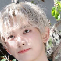lulu