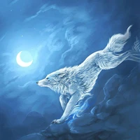 ( sói đêm TT hiha) _ hari