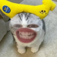 TG My_My đây