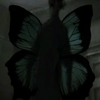 butterfly go_ thí nghiệm 1324
