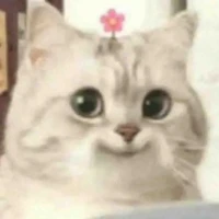 nhỏ tác giả bị khùng