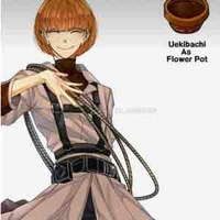 Uekibachi 