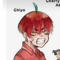 Chiyo 
