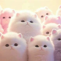 all