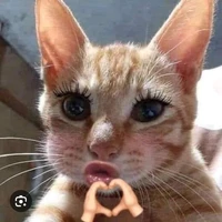 t/g đẹp nhất vũ trụ😼