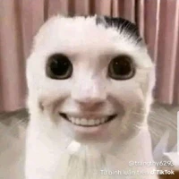 ▪︎✧˖°Tg Dzai><▪︎