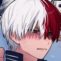 Todoroki shoto