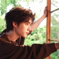 Đinh Trình Hâm - em