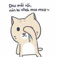Mèo