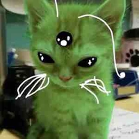 T/g bị điên
