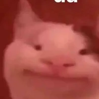 all cái lớp như cái chợ vỡ