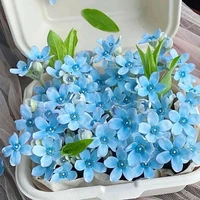 Lồn trâu nhìn đâu cx thấy