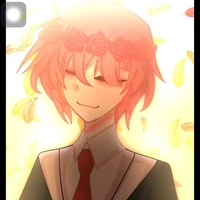 tt hiha