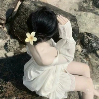 Trương Hồng Ly