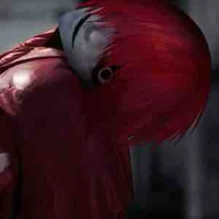 Mr • Scarletella .