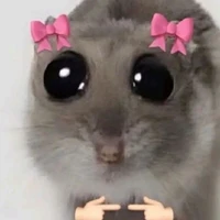 T/G