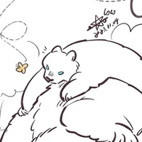 Gấu
