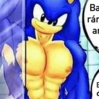 tác giả