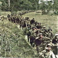 Bộ đội