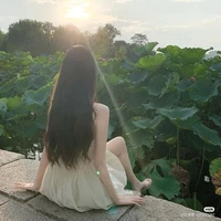 liễu mai trúc