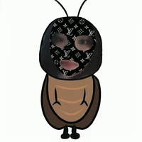 T/g chuche