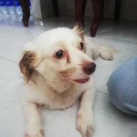 hệ thống