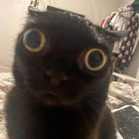 ？？？