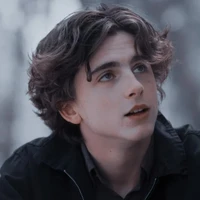 Regulus Black