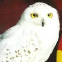 Hedwig
