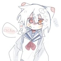 Nekomi Japan 