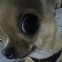 tác giả đáng iu ✨