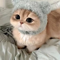 hệ thống _ Kaigo