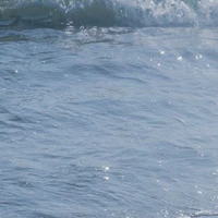 nhóm phản diện :)