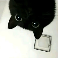 Mèowww