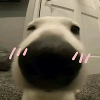 tgiaaa~