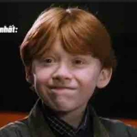 Ron Arthur Weasley