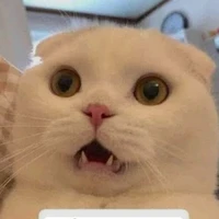 nhân vật bí ẩn