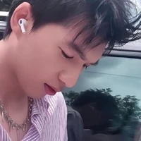 Bụt TN