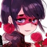 Ladybug